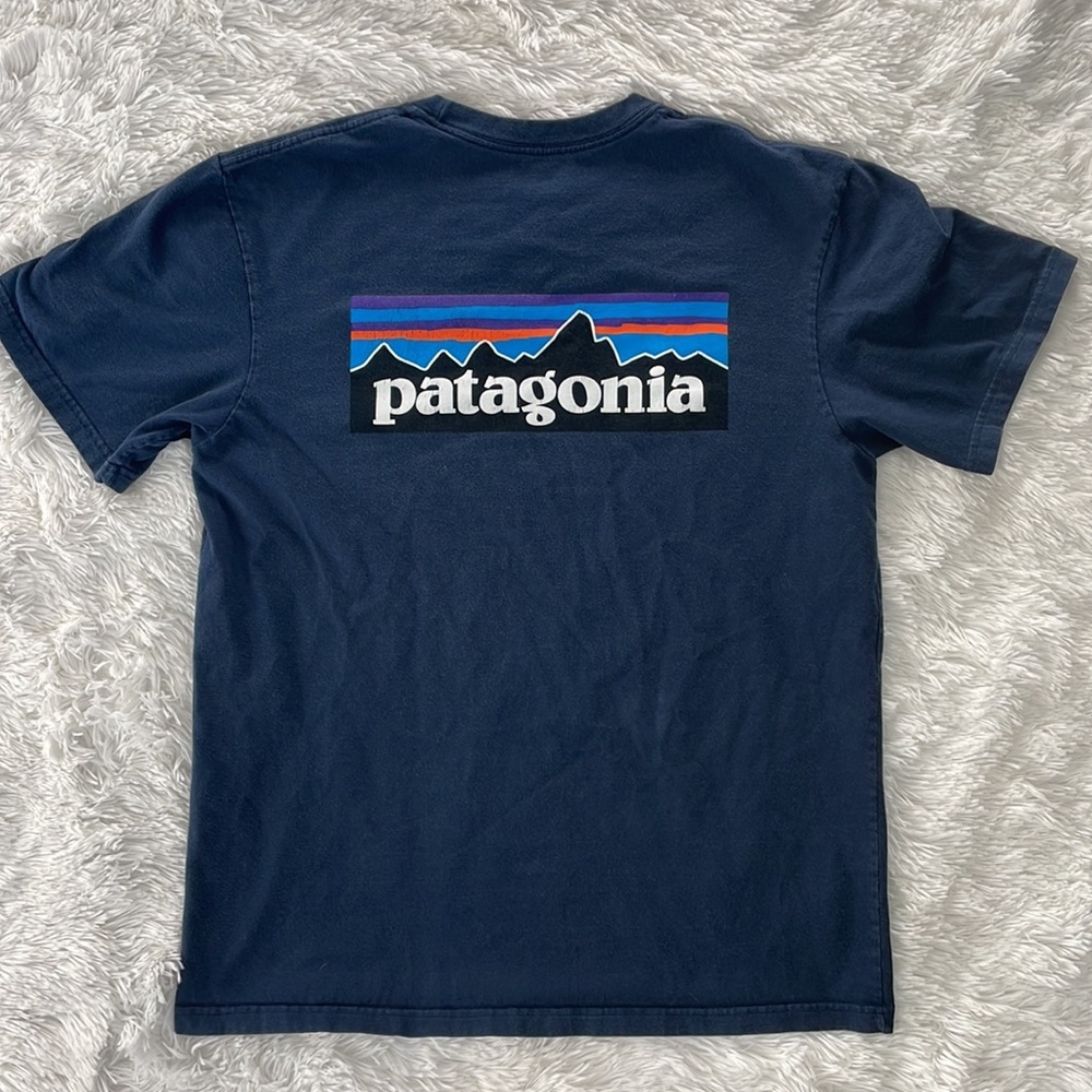Patagonia Fitz Roy Organic Cotton Logo Tee Shirt mens medium